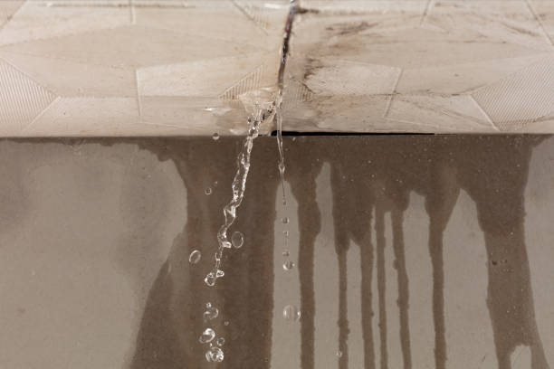Professional Water Damage Repair technician working in Conifer, CO